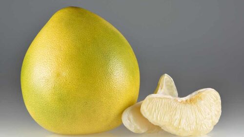 تفسير حلم البوملي في المنام