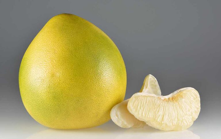 تفسير حلم البوملي في المنام للمتزوجة والعزباء والحامل – ابن سيرين والنابلسي تفسير حلم البوملي في المنام