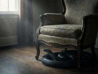 
تفسير حلم الثعبان الأسود في البيت